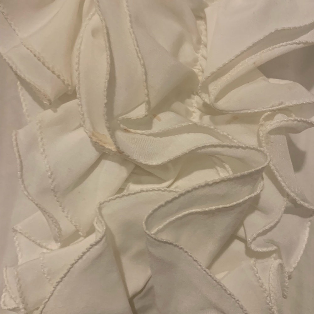Loft Sleeveless Ruffled Dress - Picture 5 of 5